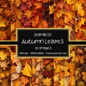 May include: A digital paper pack of 20 seamless autumn leaf patterns. The patterns feature a variety of fall leaves in shades of red, orange, yellow, and brown. The leaves are arranged in a random, overlapping pattern. The text "Seamless Autumn Leaves 20 Images 300 dpi - 3600x3600 - Commercial Use" is displayed on a black background with a gold border.
