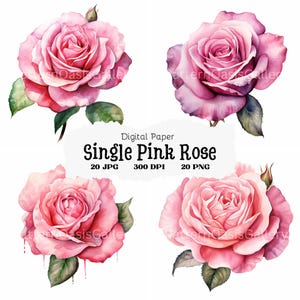 20 Pink Rose Clipart, Botanical Clipart, Floral Clipart, Watercolor Clipart, High Quality JPGs, Card Making, Digital Paper Craft, #70