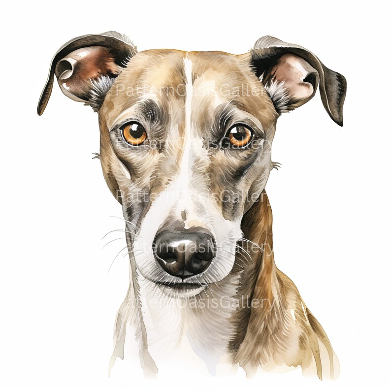Whippet Clipart, Whippet Portrait Clip Art, Dog Clipart, 20 Designs ...