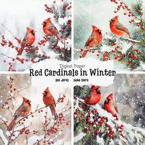 20 imágenes de cardenales rojos de invierno en acuarela, imágenes prediseñadas de cardenal rojo de Navidad, archivos JPG, pájaros de invierno de revista basura, paquete de cardenal rojo