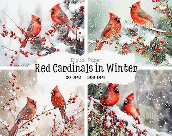 20 imágenes de cardenales rojos de invierno en acuarela, clipart de cardenal rojo navideño, archivos JPG, aves invernales para diario basura, paquete de cardenal rojo