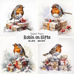20 Robin avec des cliparts cadeaux, clipart Noël Robin, JPG, journal indésirable, créations numériques en papier, fabrication de cartes, clipart aquarelle imprimable