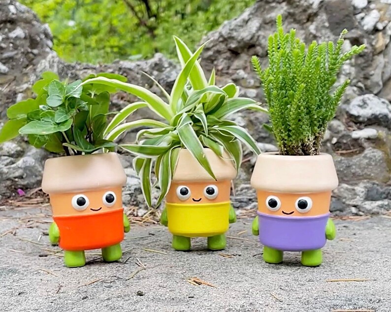 VASO PER PIANTE fioriera autoirrigante vaso da fiori da interno vaso
