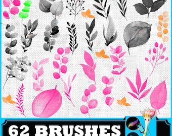 Watercolor Plant Decoration, PS & Procreate, Watercolor Plants, Botanical Brushes, Foliage Stamps, Leaf Decoration, Floral Design