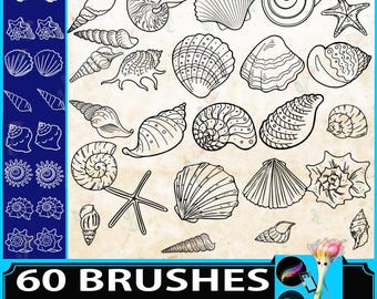 Seashell Procreate Stamps: Sea Life Coloring Brushes