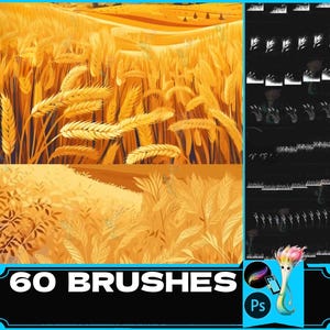 May include: A set of 60 digital brushes featuring wheat stalks in a field. The brushes are designed for use in Adobe Photoshop. The image shows a variety of wheat stalks in different positions and sizes.