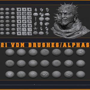 Zbrush Corrosion Skin ZB Brush Alpha Texture Map Ocean Shell Seestern Muschel ZTL Modell OBJ