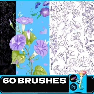 Plants Procreate Brushes: Morning Glory Line Draft Practice (Photoshop, iPad)