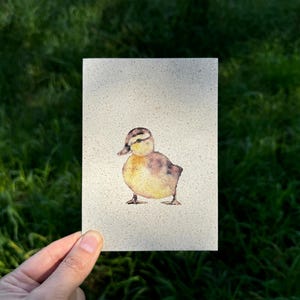 Grußkarte Kücken, Entenküken, Karte zur Geburt, Glückwunschkarte, Taufkarte, Kindergeburtstag, Sommerkarte, Ostern, Tierkinder, Aquarell