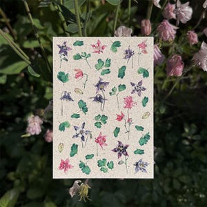 Grußkarte Akelei Karla & Mila / Geburtstagskarte, Karte Blumen, Lila Akelei, Blumen Illustration Druck, Geschenkanhänger, botanische Karte