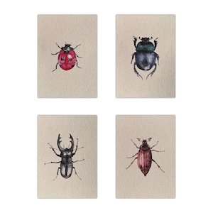 Grußkartenset Käfer | Postkarten | Insekt | Käferliebe | Glückskäfer | Aquarell | Format DIN A6