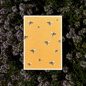 Grußkarte Hummel Lisel // Karte, Geburtstag, Dankeschön, Gartenparty, Sommergruß, kleine Aufmerksamkeit, Artenvielfalt, Hummel