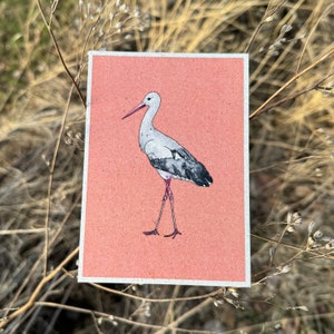 Geburtskarte, Glückwunschkarte, Storch, Aquarell, Peach Fuzz, DIN A6, gedruckt auf Graspapier