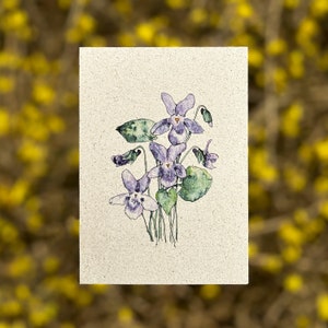Veilchen Viola - Grußkarte Blumenkarte Frühlingskarte Botanikkarte Beileidskarte Dankeskarte Freundschaft Geburtstagskarte Aquarell Floral