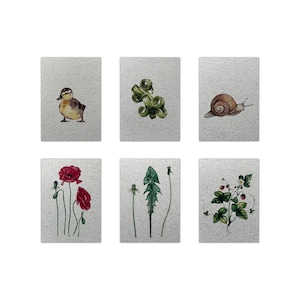 6-er Grußkartenset – Blumenwiese, Postkarten, Wildblumen, Aquarell, Blumen, Sommer, Graspapier, A6, florale Motive, Tiere, Glückwunschkarte