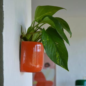 Macetero de pared de cerámica hecho a mano - Decoración única para el hogar (hecho por encargo)