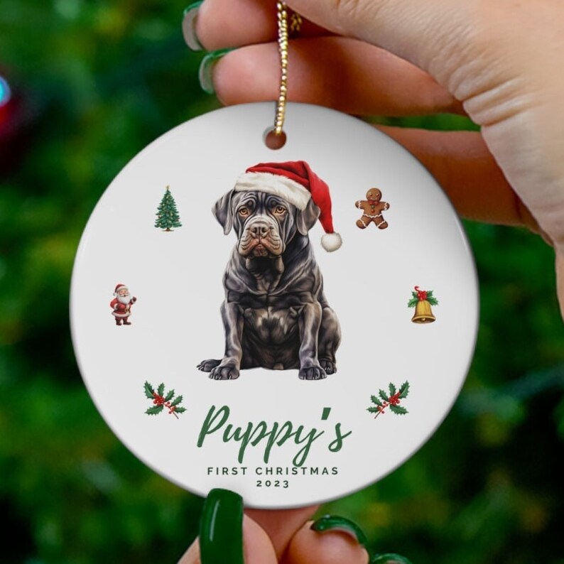 Puppy First Christmas Custom Ornament, Personalized Dog 1st Christmas