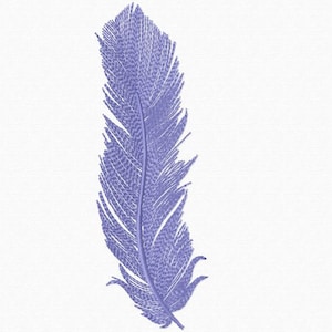 May include: A single purple feather with a detailed, textured design. The feather is isolated on a white background.