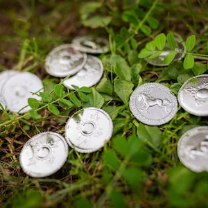 Moneda de la Tierra Media – Rohan – Marca de Rohan – Moneda de metal para LARP y TTRPG