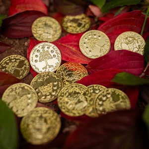 Middle-earth coin – Gondor – Gondor Castar – Metal coin for LARP & TTRPG