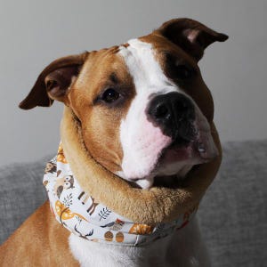 Könnte beinhalten: Ein braun-weißer Hund mit einem gemusterten Schal. Der Schal ist weiß mit einem sich wiederholenden Muster aus Eulen, Bäumen und Eicheln in Braun und Orange. Der Hund hat braune Ohren und eine rosa Nase.