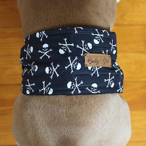 Custom-made male dog armband / male dog belt - LIL PIRATE