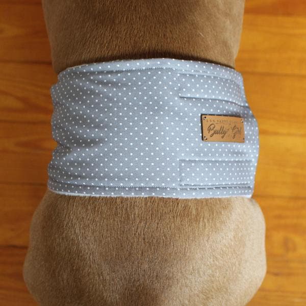 Dog binder / dog belt made to measure - DOTTED SILVER