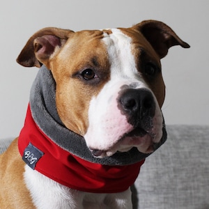 May include: A brown and white dog wearing a red and gray dog neck warmer with the text "Bag" on the side.