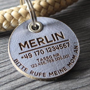 DOG TAG / DOG TAG - made of Biothane - grey - v1 - round - Ø 3.4 cm