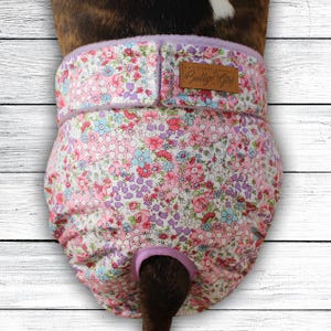 Könnte beinhalten: Eine Hundewindel mit Blumenmuster in Rosa, Blau und Violett auf weißem Grund. Das Kleidungsstück hat einen lavendelfarbenen Saum, einen braunen lederartigen Aufnäher mit der Aufschrift Bully Girl und eine Öffnung für den Schwanz.