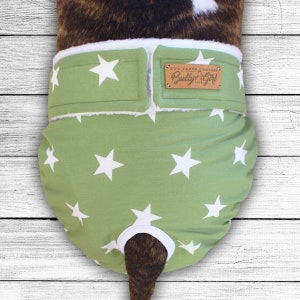 Op maat gemaakte warmtebroek voor honden &quot;Lime Star&quot; -ook zonder staartgat-