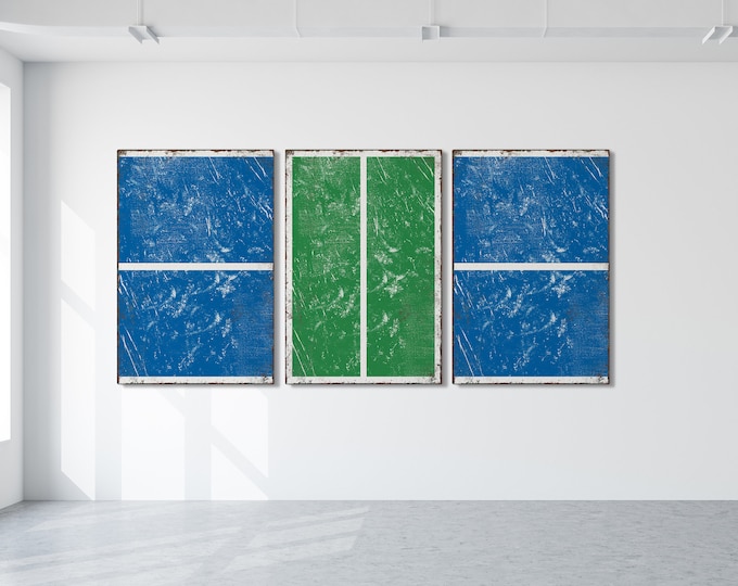 Triptych PICKLEBALL Wall Art,  3 Piece Framed Set, Pickleball Gifts, Sports-themed decor, Modern Farmhouse, Ocean Blue and Irish Green