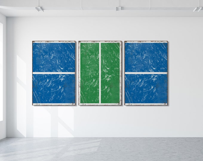 Triptych PICKLEBALL Wall Art,  3 Piece Framed Set, Pickleball Gifts, Sports-themed decor, Modern Farmhouse, Ocean Blue and Irish Green