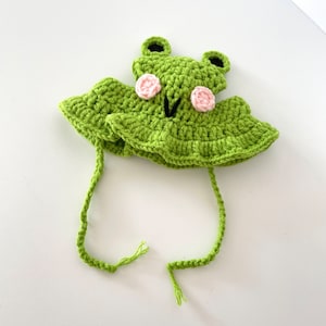 Chapeau de chat | Crocheter | Tricoté | Cadeau boîte aux lettres | Fait main | Dame chat | Fur Buddy | Accessoires | Nouvel animal de compagnie | Ami | Grenouille |