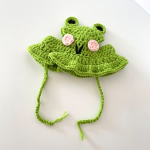 Cat Hat | Crochet | Knitted | Letterbox Gift | Handmade | Cat Lady | Fur Buddy | Accessories | New Pet | Friend | Frog |