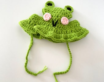 Cat Hat | Crochet | Knitted | Letterbox Gift | Handmade | Cat Lady | Fur Buddy | Accessories | New Pet | Friend | Frog |