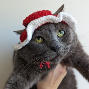 Christmas Cat Hat | Crochet | Knitted | Letterbox Gift | Handmade | Cat Lady | Fur Buddy | Accessories | New Pet | Friend |