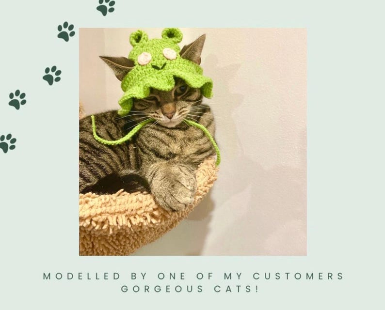 以下が含まれることがあります： 緑色の編みぐるみカエルの帽子をかぶったトラ猫。猫は茶色の猫用ベッドに座っている。