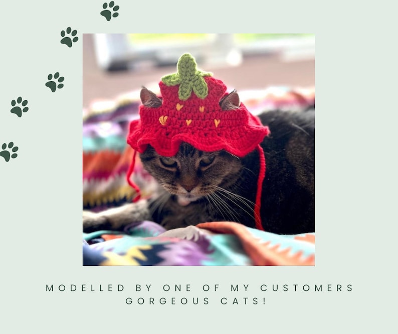 May include: A tabby cat wearing a red crocheted strawberry hat with green leaves and white hearts. The cat is looking down at the camera.