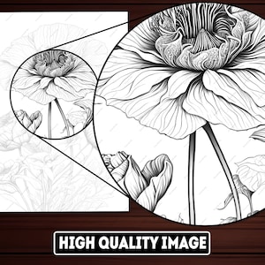 May include: Black and white line drawing of a flower with multiple petals. The flower is drawn in a realistic style with intricate details.