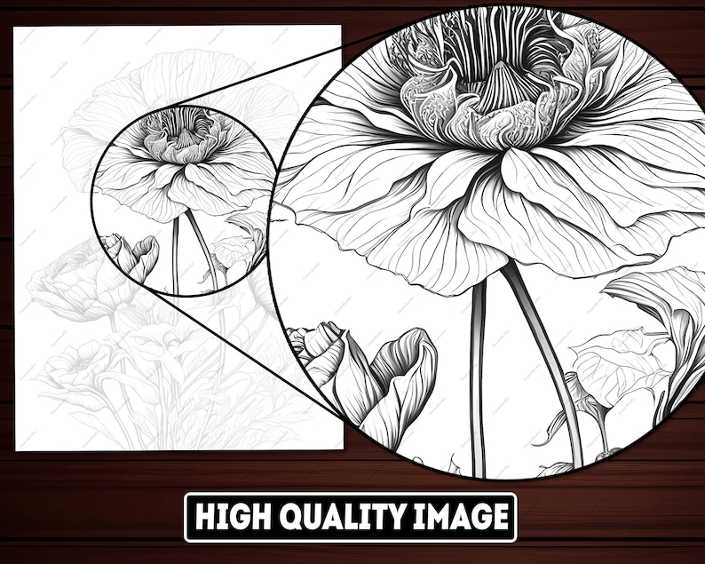 May include: Black and white line drawing of a flower with multiple petals. The flower is drawn in a realistic style with intricate details.