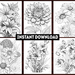 May include: Six black and white line drawings of different flowers. The flowers are lilies, dahlias, sunflowers, and roses.