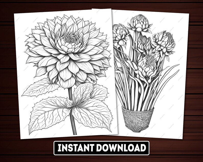 May include: Two black and white line drawings of flowers. The first drawing is of a single dahlia with large petals and leaves. The second drawing is of a bouquet of flowers in a vase.