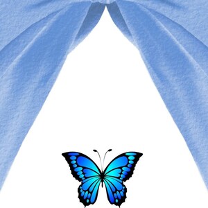 L'oracle Papillon