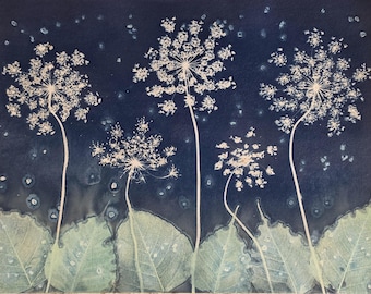 Five Queen Anne's - Original Cyanotype Sun Print - Watercolors