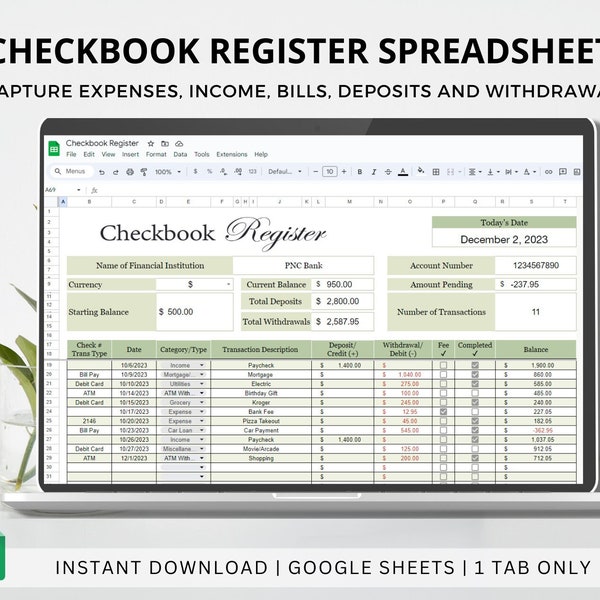 Digital Checkbook Register, Income and Expense Tracker, Spending Ledger, Monthly Budget Template, Balance Spreadsheet, Bill Pay, Finance Log