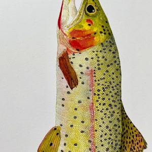 Cutthroat Trout Watercolor Illustration Print image 3