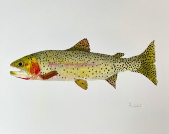Cutthroat Trout Watercolor Illustration Print