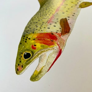 Cutthroat Trout Watercolor Illustration Print image 2