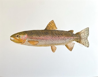 Rainbow Trout Watercolor Illustration Print